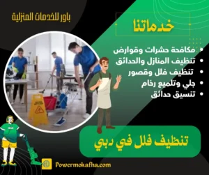 شركة نظافة في دبي